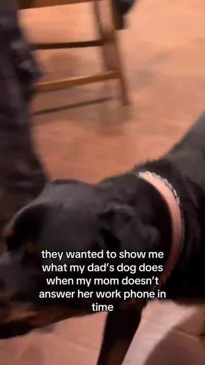 Are you gonna answer that phone Linda?!