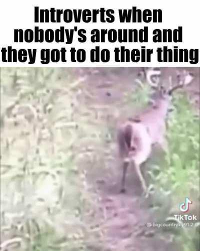 Hello fellow introverts