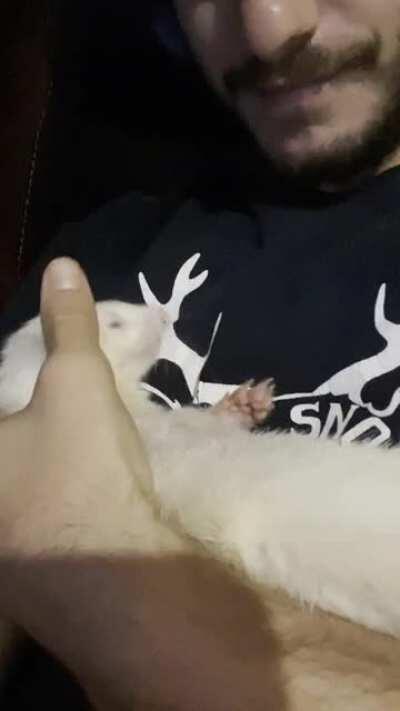 When they do the little hands on the face thing lol