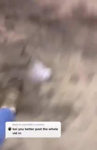 Just couple of dudes left unsupervised.