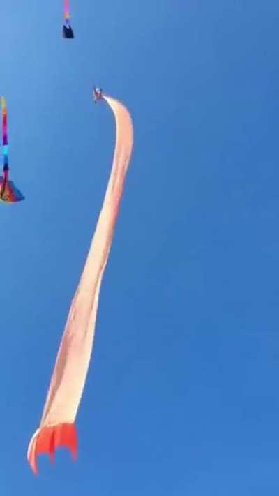 Girl attached to kite flies away