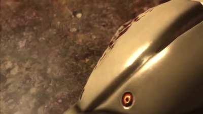 Bro thinks he is Walter White