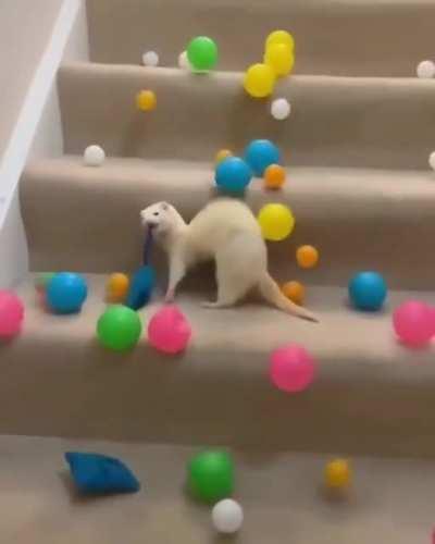 Ele n&atilde;o para de ficar surpreso