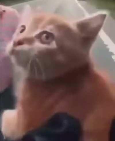 Man, I wish I could be his frien