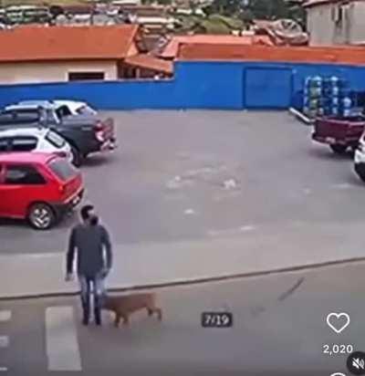 Should’ve used the pedestrian crossing