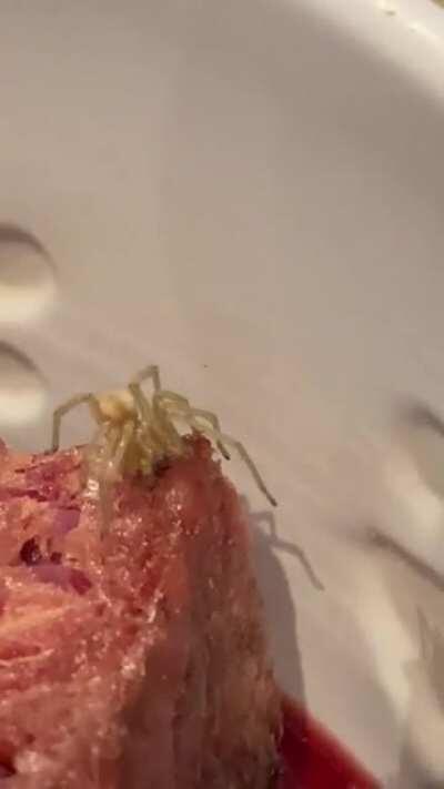 Thanks, I hate this spider's diet expansion