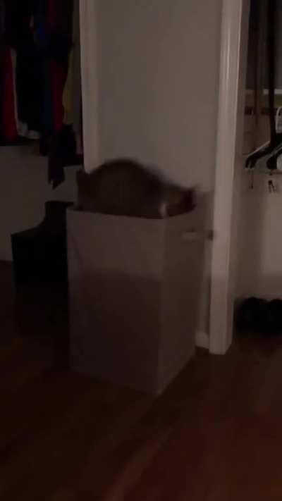 Acme, Co. introduces a line of laundry hampers