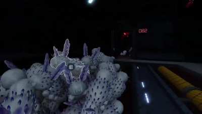 Give me all your Deep Sea Bunny memes and clips of funny moments