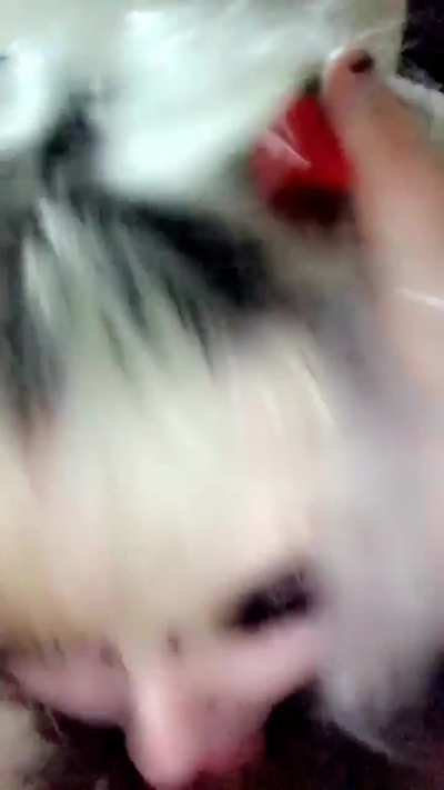 I take pleasure in sucking the soul from old man dick🤤