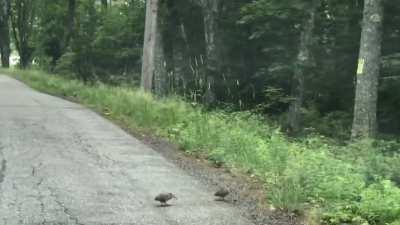 Erin and Mike decided to have some fun with drugs after their respective divorces. By five am, they’d forgotten all about the pain of walking in on Dave and Bec together: