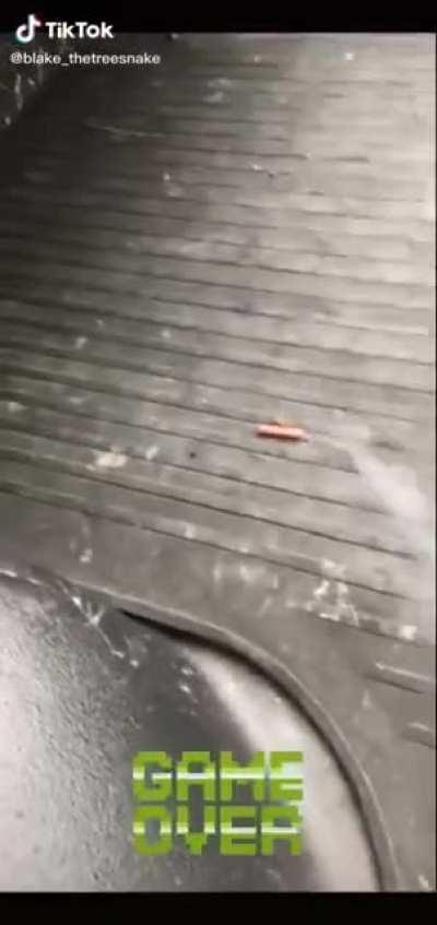 Found on tiktok. He's out here doing the lord's work.