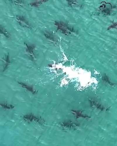 Beaches of Recife, Brazil