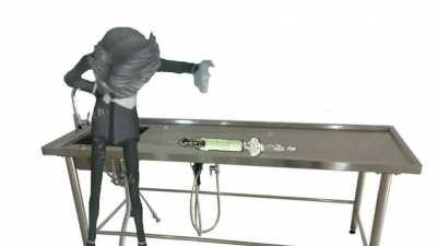 Aesop's Lore in a Nutshell