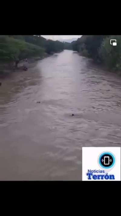 I wonder what he did 