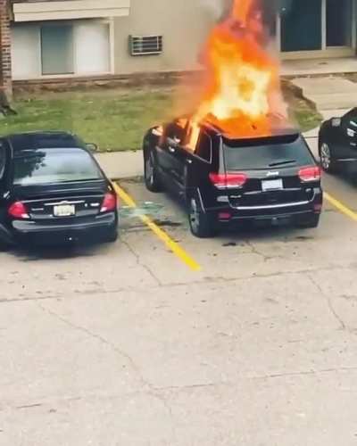 Bet she won’t do that again