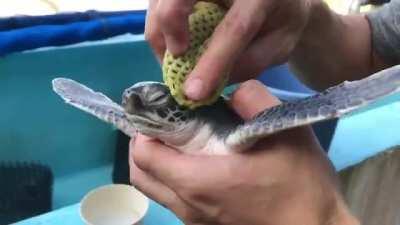 Enjoying being clean