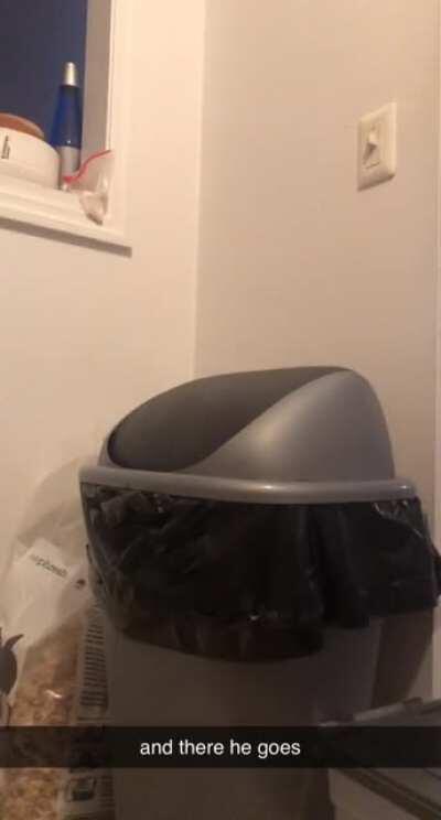 Angel on my shoulder: You should get him off of there. Devil on my shoulder: You should take a video