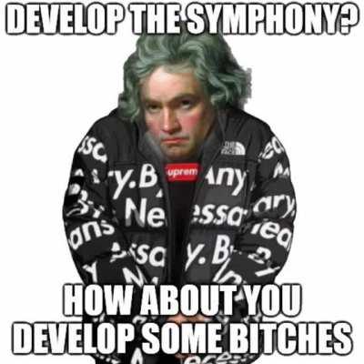 beethoven went blind
