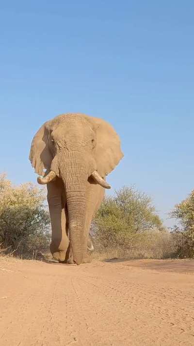 That's something 🫣