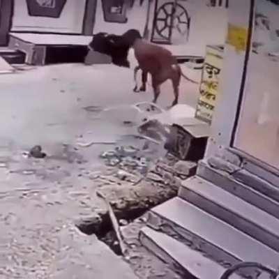 Fuck this old man in particular