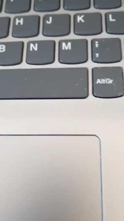 My niece's computer is a little buggy!