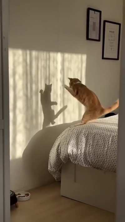 Who entered my room😁😁