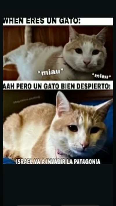 Hora de descongelar el arma secreta