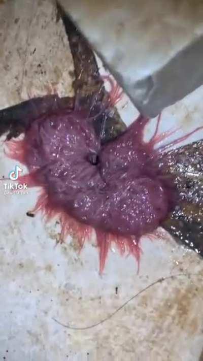 what the f#$k is that