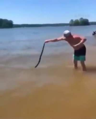 Seviper i choose you!