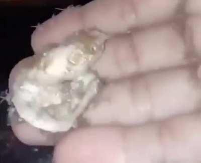 Amo vocês boa noite 🙏🙏🙌