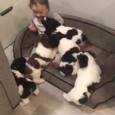 Немного милоты