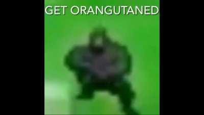 Plans for the future