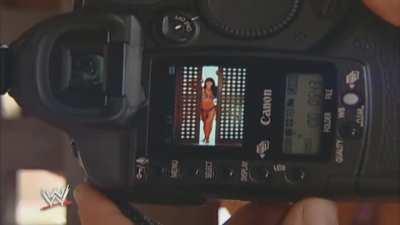 Victoria: WWE Viva Las Divas