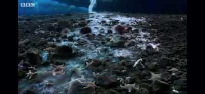 Icy finger of death, Antartica