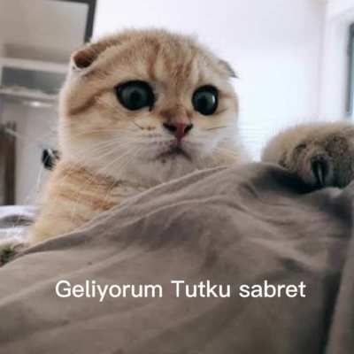 Çok acıklı bir hikaye..