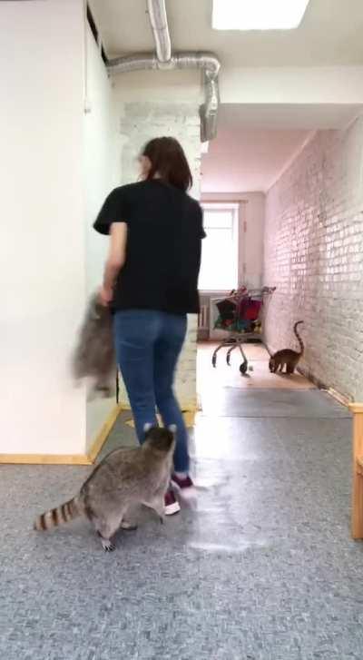 look at that pure joy!