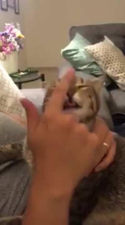 I'm gonna help you my friend!!