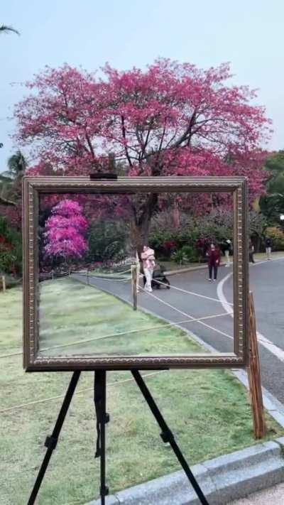 Perspective is everything