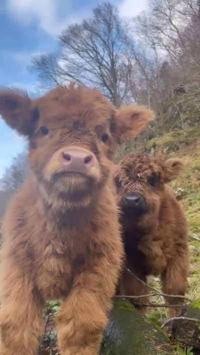 Look at these two pretties! 😍