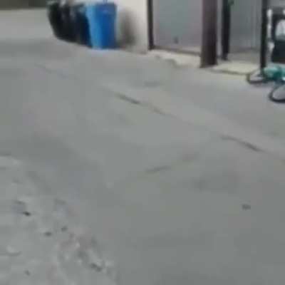 okay but that was LEGENDARY