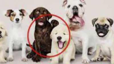 Kijk goed!🤣🤣🤣👍🏻👍🏻👍🏻🤣🤣😹🤣🤣🤣! Ben ik dom?😶😶🖐️🖐️🤑🤑🤷🏻‍♂️🤷🏻‍♂️😂🤣