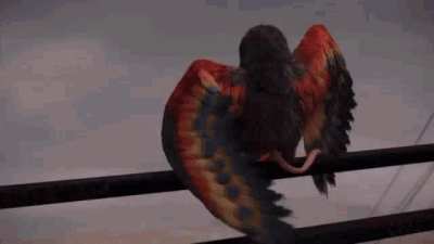 [Cloudy with a Chance of Meatballs]