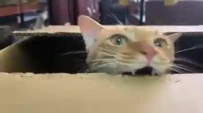 The hole puncher looks kinda weird