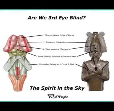 Yall ever think about how