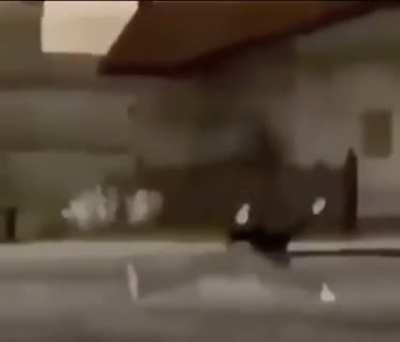 friend sent me this and i thought it’d be some good shit