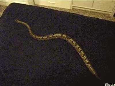 HUMAN DON'T LEAVE ME LIKE THIS!