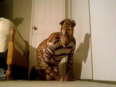 Tiger Eat...YOU! (Vore)