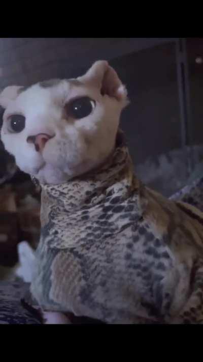 Beebs has a song in her heart