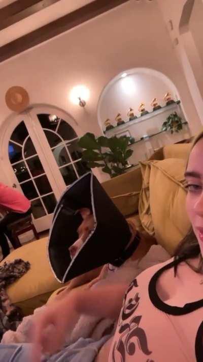 Billie Ellish slapping those milk trucks