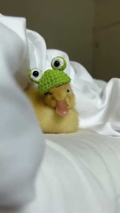Sleepy Duckling Ready for Halloween